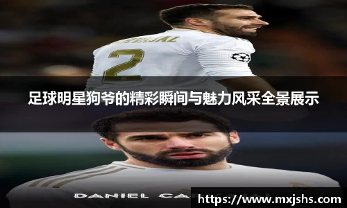 足球明星狗爷的精彩瞬间与魅力风采全景展示