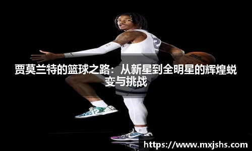 火博体育