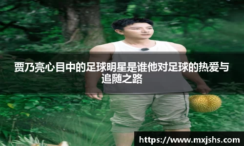 贾乃亮心目中的足球明星是谁他对足球的热爱与追随之路