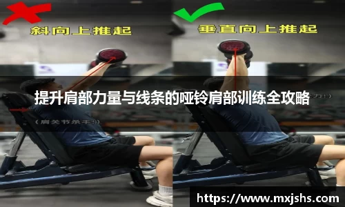 提升肩部力量与线条的哑铃肩部训练全攻略