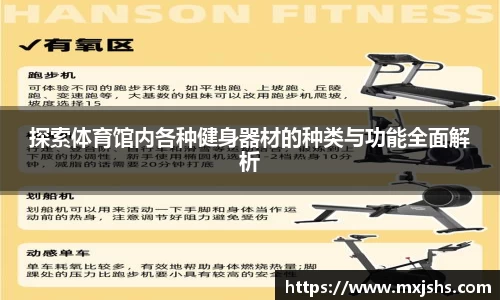 探索体育馆内各种健身器材的种类与功能全面解析